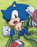  blood butt_trauma hedgehog karlo male penis sonic_(series) sonic_the_hedgehog tail tentacles 