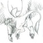  anus avian balls butt feral gryphon hindpaw male paws raised_tail solo tail wings 