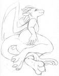  aaaamory dragon female horns pencils presenting pussy scalie sketch spreading wings 