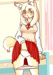  canine female fox kin-shun mammal panties skirt solo underwear 