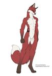  2007 canine fox male melissa_o&#039;brien nude pose solo tail tattoo zepherfox 