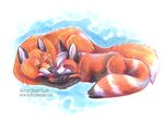  canine eyes_closed feral fox red_panda shikoku sleeping 