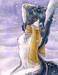  canine dog female looking_at_viewer mammal nude ruaidri scarf snow solo topless 