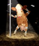  animated bovine cow cyriak dancing lipstick pole 