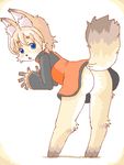  canine female fox kin-shun mammal plain_background solo white_background 
