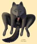  anus autofellatio balls canine ebon_lupus fellatio feral licking male oral oral_sex penis sex solo tongue wolf 