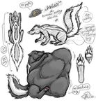  2010 belly feral forceswerwolf krisoi male model_sheet skunk solo vore 