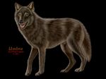  canine ebon_lupus feral photorealism solo umbrawolf 