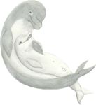  cetacean cuddle dolphin female feral male marine pussy sketch straight tucuxi 