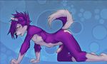 all_fours canine cute dog hair husky invalid_tag jijix looking_at_viewer male penis piercing precum presenting purple purple_hair raised_tail ransom short_hair short_purple_hair solo tail uncut 