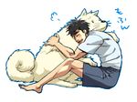  bare_legs barefoot black_hair closed_eyes dog feet hajime_no_ippo makunouchi_ippo male_focus shorts smile tamtam wanpo_(hajime_no_ippo) white_hair 