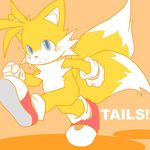  blush canine fox male miles_prower mobian multiple_tails n nude oekaki solo sonic_(series) tail 