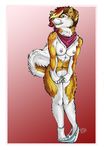  2008 anklet bandanna breasts canine covering_self dog ear_piercing earring female fluffy_tail husky kappy navel navel_piercing nipples nude panties panties_down piercing shy simple_background solo tail teeth underwear undressing 