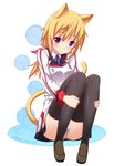  animal_ears black_legwear blonde_hair blush character_name charlotte_dunois copyright_name hair_ribbon highres infinite_stratos kemonomimi_mode long_hair long_legs looking_at_viewer nectar_(fujiya) panties ponytail purple_eyes ribbon school_uniform simple_background smile solo tail thighhighs underwear white_background 