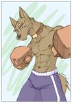  anthro boxer boxing canine clothing collar dog male mammal muscles nipples pecs shorts solo tail topless wmustang 