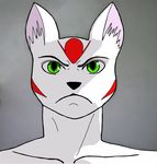  angry bust drawing facial_markings fur green_eyes invalid_tag male markings red red_markings sketch solo w.liron white white_fur wotf 