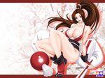  breasts brown_eyes brown_hair fatal_fury king_of_fighters large_breasts long_hair ponytail shiranui_mai size_hermitage snk 