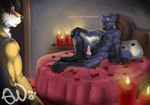  bed blue blush candle canine flower fur gay knot male romantic unknown_artist wolf yellow 
