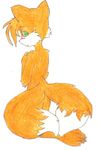  blush canine fox kneeling looking_back male mammal miles_prower nude plain_background sega shy solo sonic_(series) unknown_artist white_background 