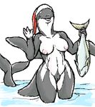  anthrofied breasts cetacean female fish mammal marine mutabouru nipples oekaki orca pussy solo voluptuous whale 