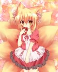  alternate_costume animal_ears blonde_hair blush fox_ears fox_tail highres multiple_tails open_mouth puyopika short_hair solo tail touhou valentine yakumo_ran yellow_eyes younger 