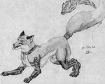  canine daelyhelaxon feral fox male solo 