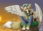  canine cliff fox foxxian goggles male solo sunset wings 