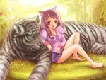  bakemonogatari barefoot black_hair braid brown_eyes digininja hanekawa_tsubasa long_hair monogatari_(series) nekomonogatari school_uniform solo tiger twintails white_tiger 