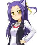  :3 animal_ears bad_id bad_pixiv_id blush cat_ears choker hair_ornament kazami_ruku kurokawa_eren long_hair precure purple_hair seiren_(suite_precure) solo suite_precure vest yellow_eyes 