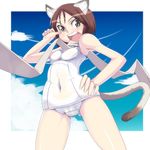  animal_ears brown_hair cat_ears covered_navel hand_on_hip katuhata nishizawa_yoshiko one-piece_swimsuit open_mouth scarf school_swimsuit short_hair solo swimsuit tail white_school_swimsuit white_swimsuit world_witches_series 