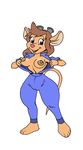  chip_&#039;n_dale_rescue_rangers dennis_clark gadget_hackwrench tagme 
