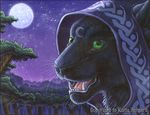  2009 crescent feline hood katie_hofgard moon night outside panther solo wolf_nymph 