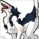  all_fours ass_up chest_tuft digitigrade drool female gaping_maw oekaki open_mouth rain_silves raised_tail saliva sergal solo tail tongue trancy_mick 
