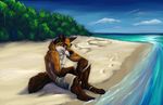  2008 beach black_nose canine chibi-marrow clothed clouds fox looking_at_viewer male orange_eyes ring sand seaside shore shorts solo topless tress water 