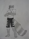  black_and_white dribble greyscale looking_at_viewer male mammal mikhael monochrome raccoon shorts solo topless 