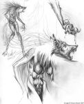  breasts canine f&oelig;tus female mayra_boyle multi_breast sketch solo were wolf 