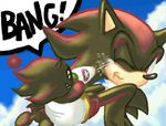  chao hedgehog sega shadow_the_hedgehog sonic_(series) 