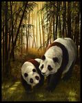  bamboo chubby collaboration cute female feral forest foxfeather panda tree vantid 