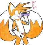  kelper_fox_wolf sonic_team tagme tails 
