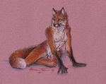  amber_hill canine chest_tuft female fox nude solo 