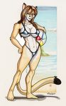  ball beach bikini breasts brian_wear cougar cute feline female seaside skimpy solo 