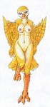  anthro avian barn_owl beak bird blue_eyes breasts coyotek feathered_wings female looking_at_viewer miss_oro nipples nude owl plain_background pussy solo talons white_background wings yellow yellow_body 