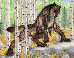  canine forest goldenwolf male prowl solo tattoo tree tribal were wolf 
