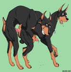  balls canine cum doberman dog duo entry feral feral_on_feral gay green_background klaus_doberman knot male mammal penis plain_background sex source_request two 