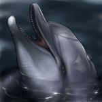  cetacean dolphin equus feral marine photorealism solo 