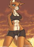  2006 abs blue_eyes breasts camel_toe canine female fox foxy_roxy_(gametek) midriff orange outside pinup solo standing sunset tail tailsrulz tight_clothing wide_hips 