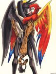  avian ayame_emaya butt couple female gryphon macaw male margay parrot rook sex straight xan 