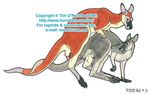  annoying_watermark female feral kangaroo male marsupial penis pussy randy_muledeer straight 