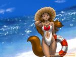  2006 4:3 beach blue breasts camel_toe canine chest_tuft dr_comet female seaside solo summer swimsuit wallpaper 