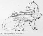  dragon eragon female feral saphira scalie sketch solo strecno wings 